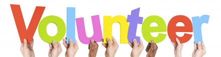 volunteer picture