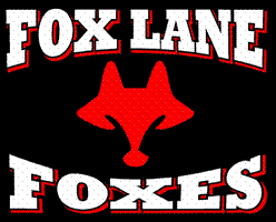 Foxes 